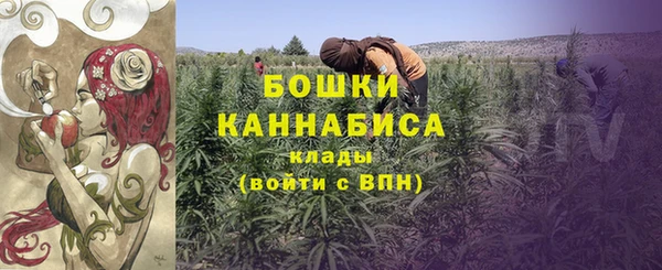эйфоретик Медвежьегорск