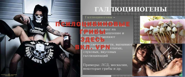 эйфоретик Медвежьегорск