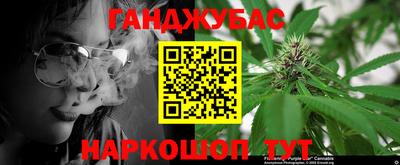 сатива Аргун