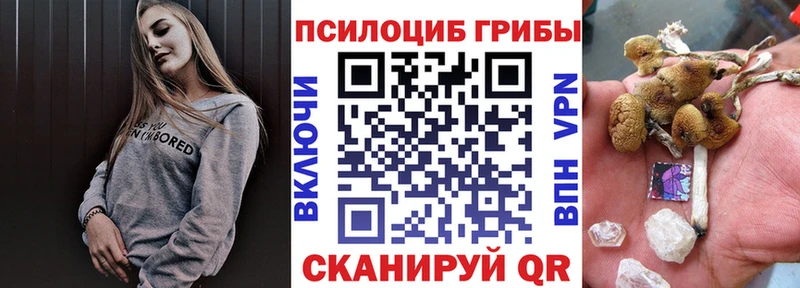 Псилоцибиновые грибы Cubensis  ссылка на мегу зеркало  Апрелевка 